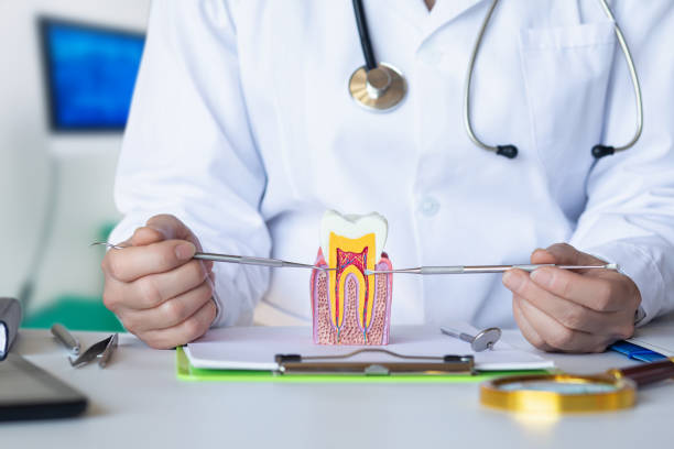 Best Dental Abscess Treatment in Evans, GA